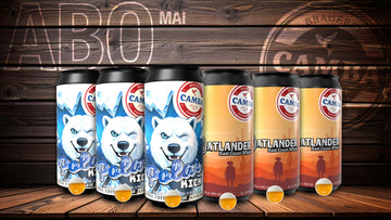 6er Camba Beer Abo